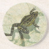 Toad Swinning in het water Zandsteen Onderzetter (Voorkant)