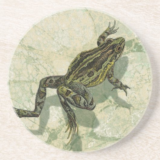 Toad Swinning in het water Zandsteen Onderzetter (Voorkant)