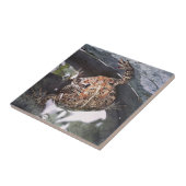 Toad Tegeltje (Zijkant)