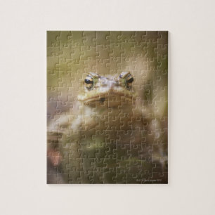 Toad van de Dag Legpuzzel