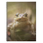 Toad van de Dag Notitieboek (Voorkant)