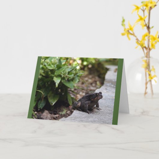 toad-verjaardagskaart kaart (Gele Bloem)