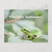 Toadally geweldige kaart met kikker (Voorkant)