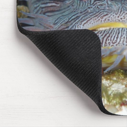 Toadfish die naar ons kijkt muismat (Hoek)