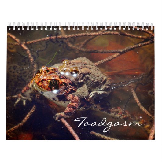 Toadgasm Kalender (Hoes)