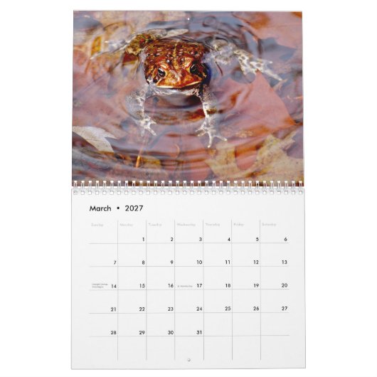 Toadgasm Kalender (Mar 2027)