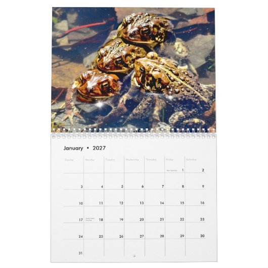 Toadgasm Kalender (Jan 2027)