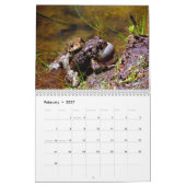 Toadgasm Kalender (Feb 2027)