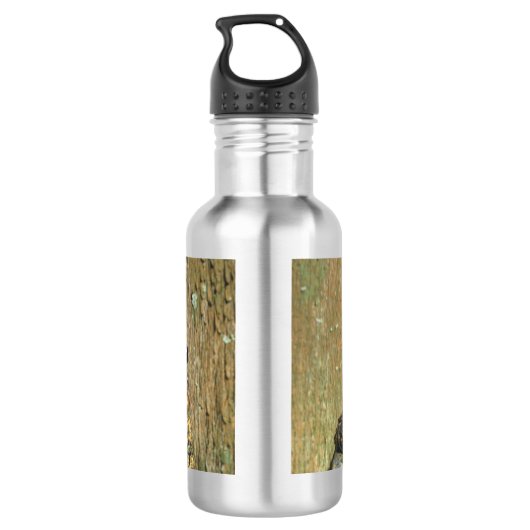 Toadly Geweldige Toad Waterfles (Achterkant)