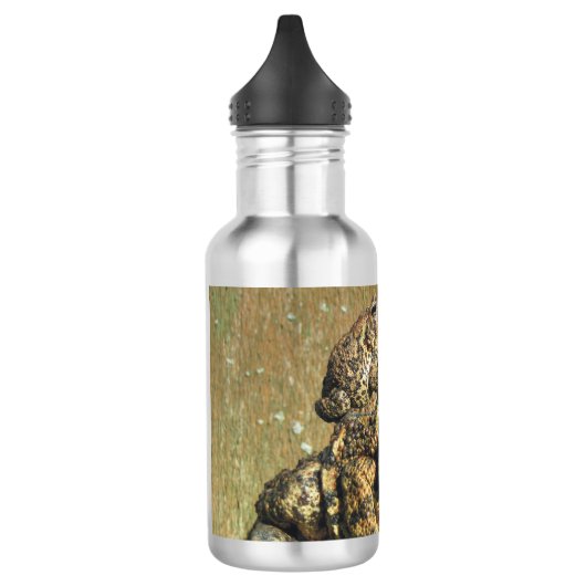 Toadly Geweldige Toad Waterfles (Links)