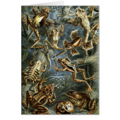  Toads en kikkers Batrachia door Ernst Haeckel (Voorkant)