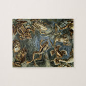  Toads en kikkers Batrachia door Ernst Haeckel Legpuzzel (Horizontaal)
