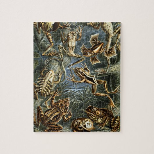  Toads en kikkers Batrachia door Ernst Haeckel Legpuzzel (Verticaal)