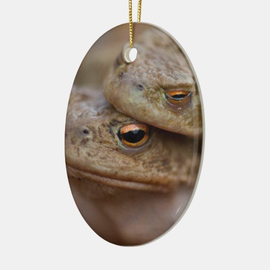 Toads "The Ugly Couple"-versiering Keramisch Ornament (Links)