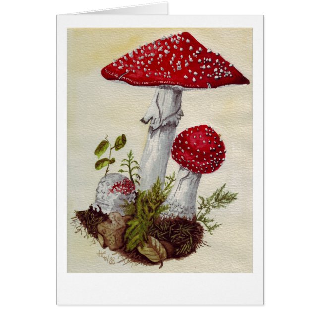 Toadstool (Voorkant)