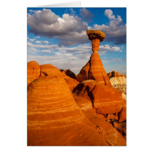 Toadstool Aftermiddag