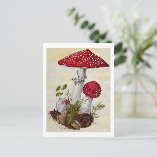 Toadstool Briefkaart (Staand voorkant)