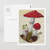 Toadstool Briefkaart (Voorkant / Achterkant)