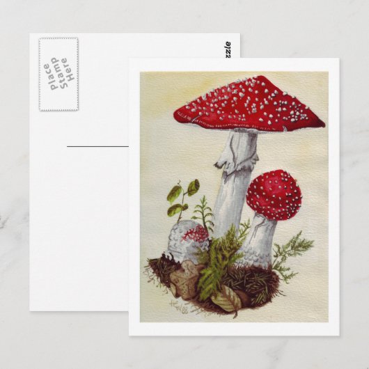 Toadstool Briefkaart (Voorkant / Achterkant)