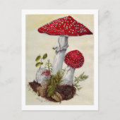 Toadstool Briefkaart (Voorkant)