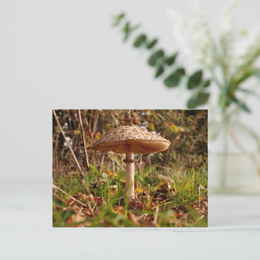 Toadstool Briefkaart (Staand voorkant)