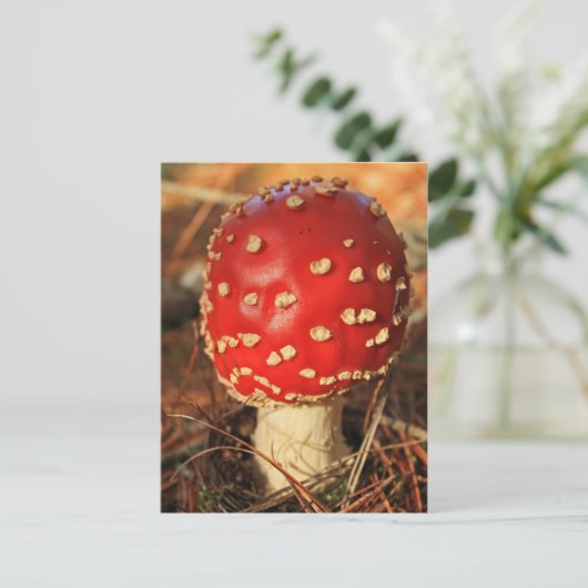 Toadstool briefkaart (Staand voorkant)
