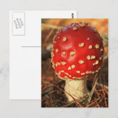 Toadstool briefkaart (Voorkant / Achterkant)