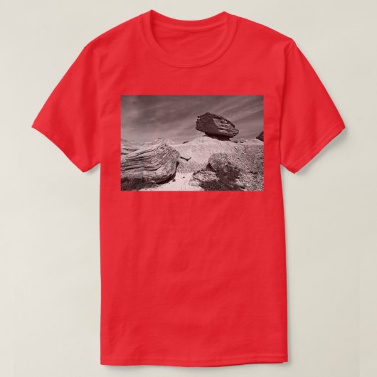 Toadstool Geological Park Monochrome T-shirt (Design voorkant)