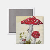 Toadstool Magneet (Voorkant / Achterkant)