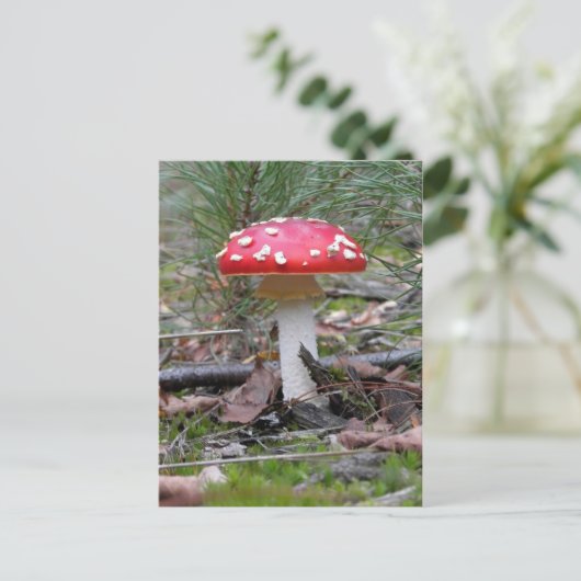 Toadstool paddenstoel briefkaart (Staand voorkant)