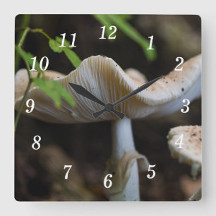 Toadstool Paraplu Wandklok
