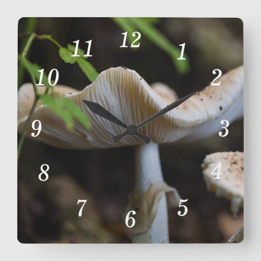 Toadstool Paraplu Wandklok (Voorkant)