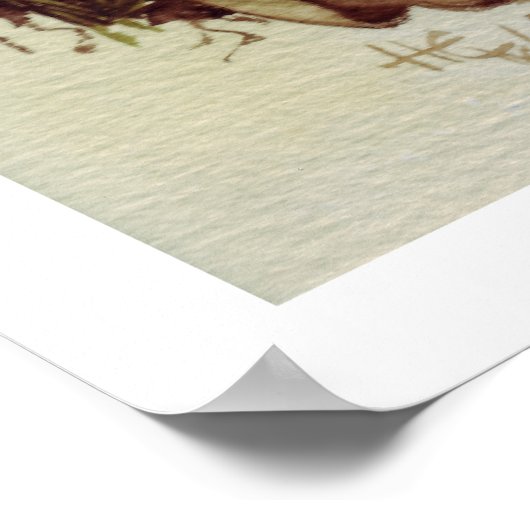 Toadstool Poster (Hoek)