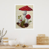 Toadstool Poster (Keuken)