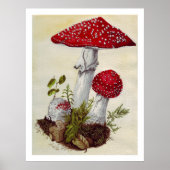 Toadstool Poster (Voorkant)
