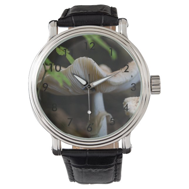 Toadstool Umbrella Horloge (Voorkant)