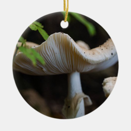 Toadstool Umbrella Keramisch Ornament (Voorkant)
