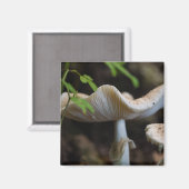 Toadstool Umbrella Magneet (Voorkant / Achterkant)