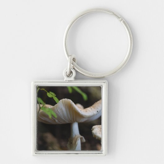 Toadstool Umbrella Sleutelhanger (Voorkant)