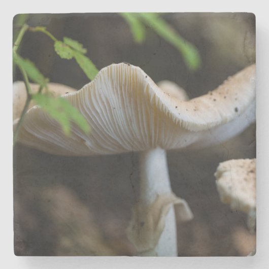 Toadstool Umbrella Stenen Onderzetter (Voorkant)