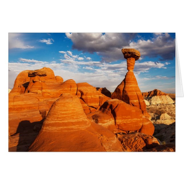 Toadstools (Voorkant Horizontaal)