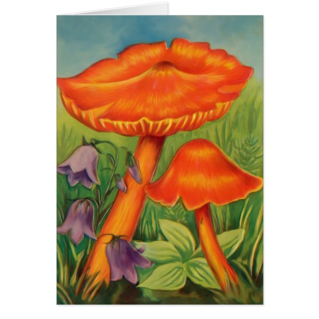 Toadstools 2 (Voorkant)