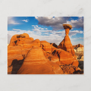 Toadstools Briefkaart