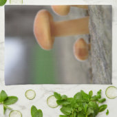 Toadstools Macro Kitchen Towel Theedoek (Gevouwen)