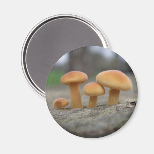 Toadstools Macro Magnet (Voorkant / Achterkant)
