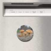 Toadstools Macro Magnet (Insitu (Vaatwasser))