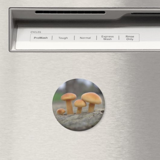 Toadstools Macro Magnet (Insitu (Vaatwasser))