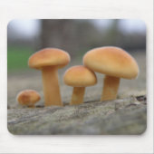 Toadstools Macro Mousepad Muismat (Voorkant)