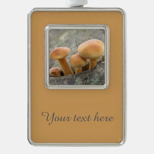 Toadstools op een aangepaste versiering voor booms verzilverd omlijst ornament (Voorkant)
