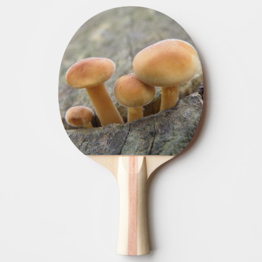Toadstools op een boomstam pingpongpeddel tafeltennisbatje (Voorkant)